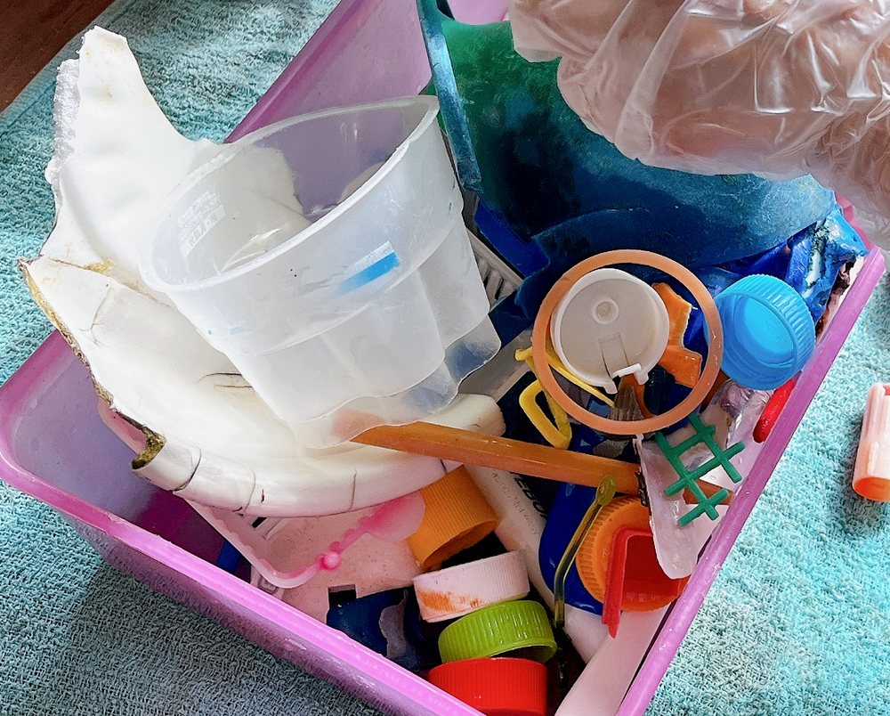 拾い集めたプラスチックごみ(ふたや容器、破片)をピンクの容器に集めたところ